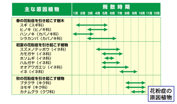 花粉症について サトウ眼科